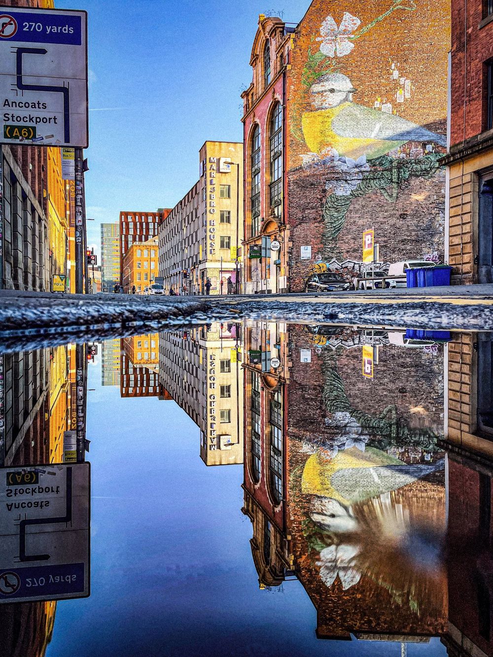 Muurschildering van een pimpelmees in het Northern Quarter, weerspiegeld in een plas